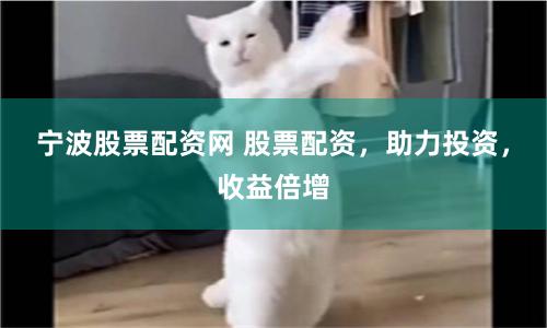 宁波股票配资网 股票配资，助力投资，收益倍增