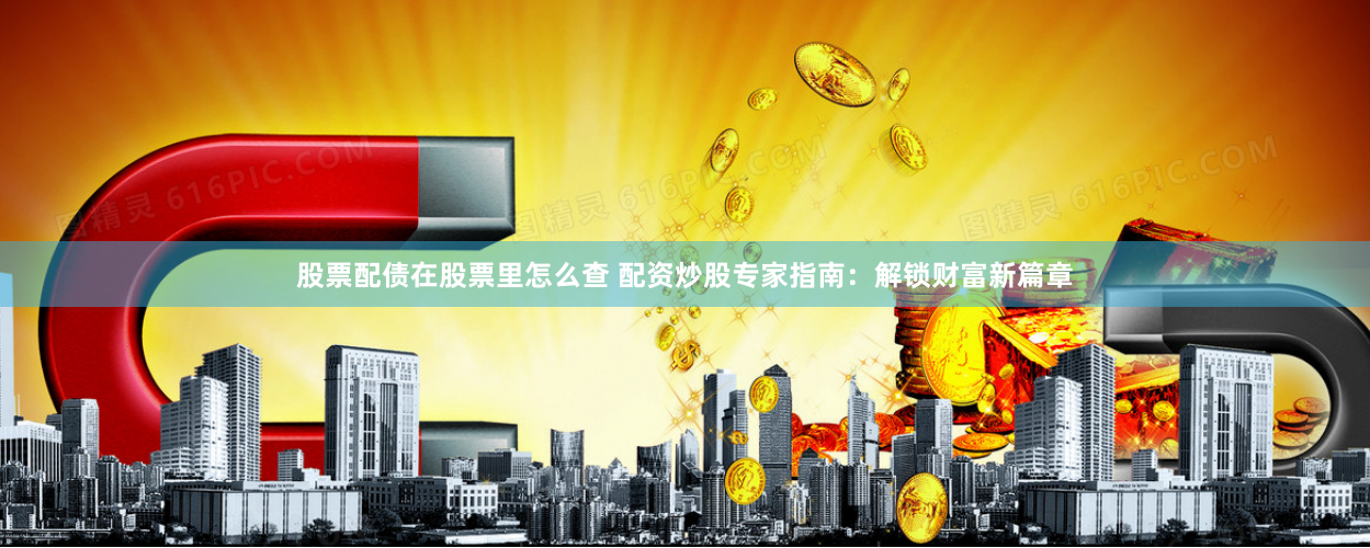 股票配债在股票里怎么查 配资炒股专家指南：解锁财富新篇章