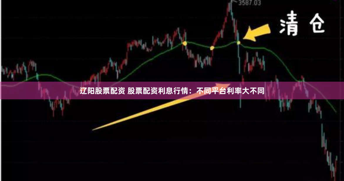 辽阳股票配资 股票配资利息行情:不同平台利率大不同