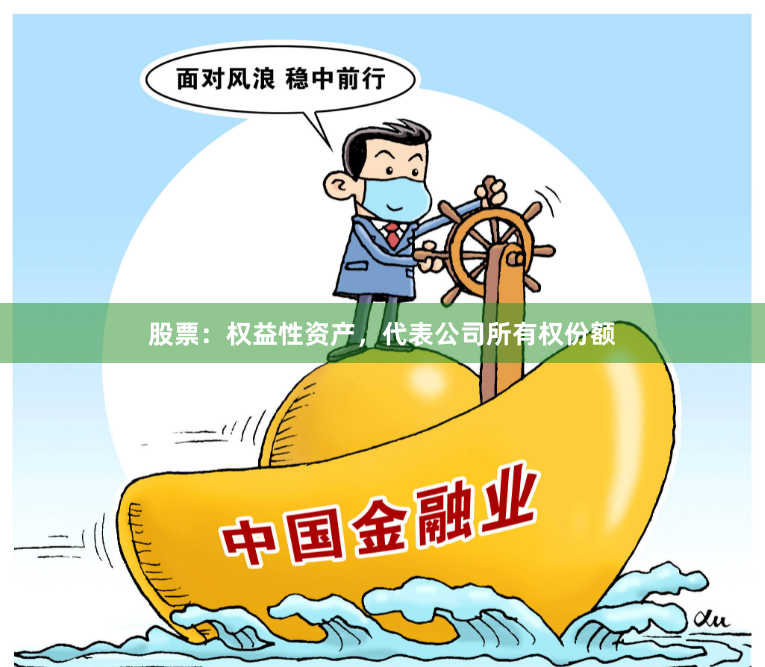 股票：权益性资产，代表公司所有权份额