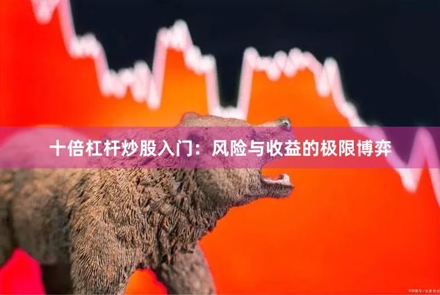 十倍杠杆炒股入门：风险与收益的极限博弈